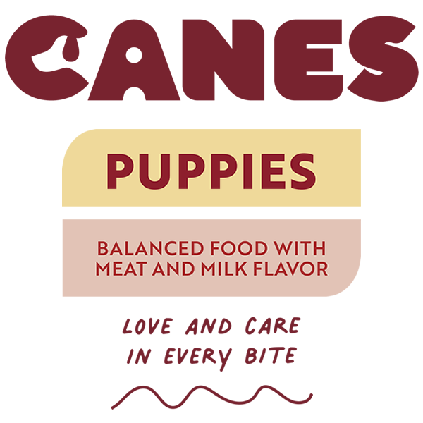 Canes Puppies