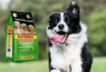 Supermix Canines