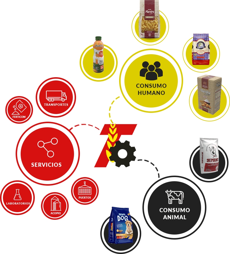 Productos y Servicios